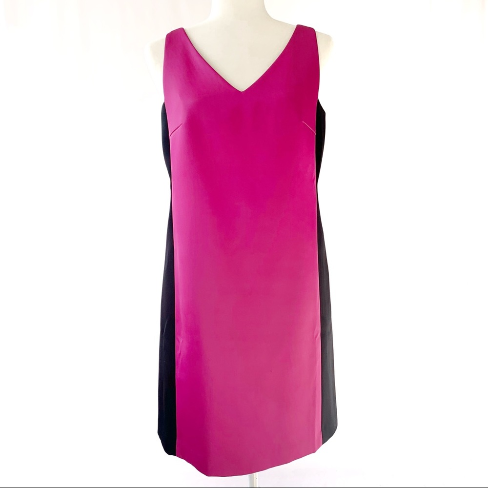 Club Monaco Colorblock Shift Dress Pink Black Size 4